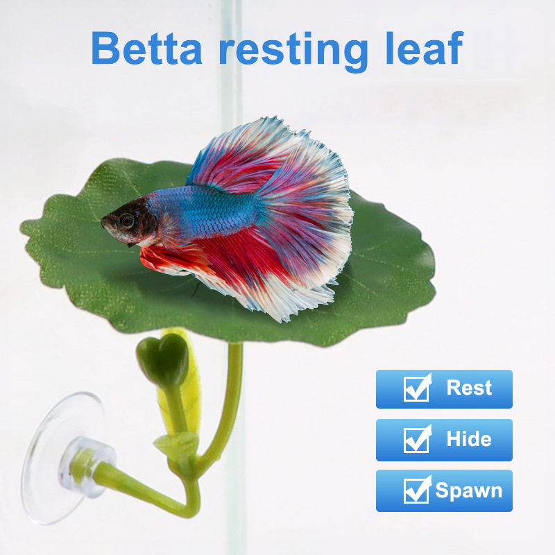 1PC Betta Fish Leaf Hammock Gr - Betta Fish Tank ulasan dan harga