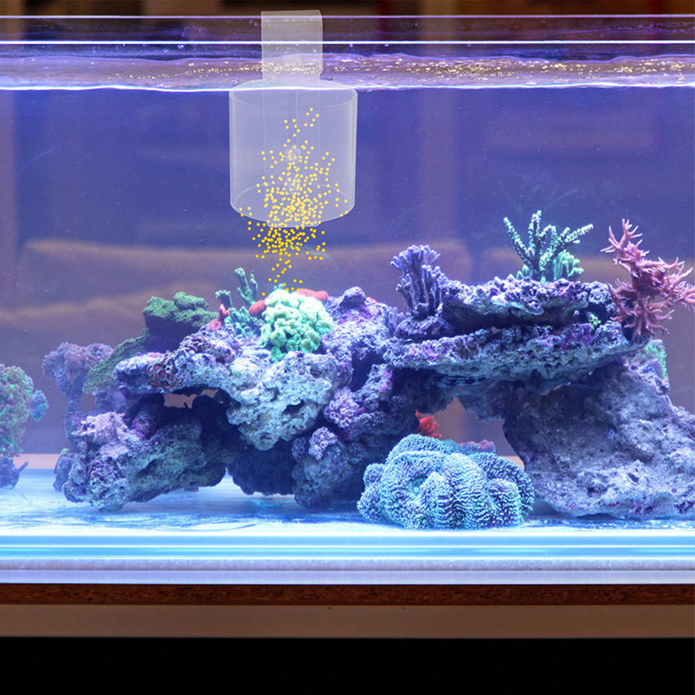 Adjustable Acrylic Fish Feedin - Aquarium Fish Keeping ulasan dan harga