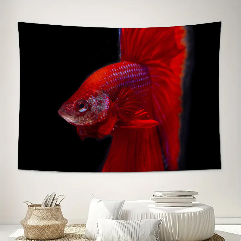 Vibrant Red Betta Fish Tapestr - Aquarium Fish Betta ulasan dan harga