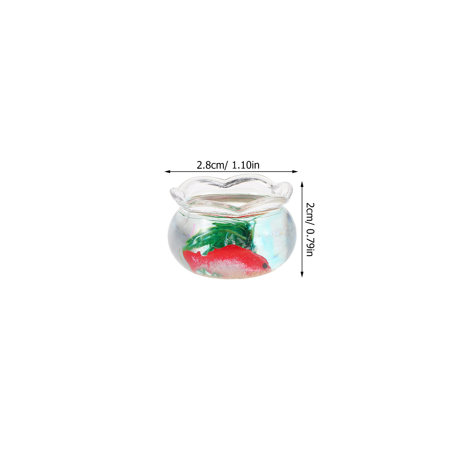 5pcs Mini Koi Fish Tank Set –  - Aquarium Plants ulasan dan harga